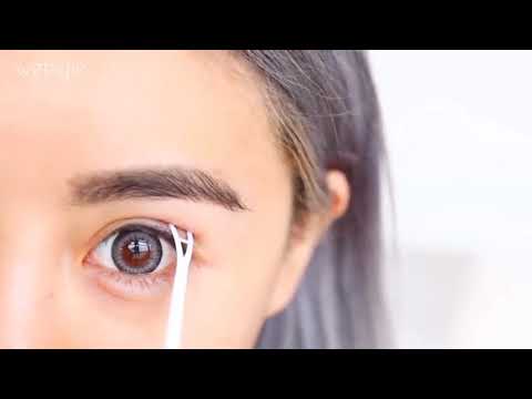 Hướng dẫn sử dụng Gel kích mí Pro Eyelashes Eyelash Glue The Face Shop