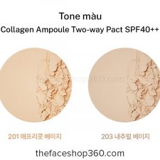 Tone màu Phấn phủ Gold Collagen Ampoule Two-way Pact SPF40++ fmgt The Face Shop
