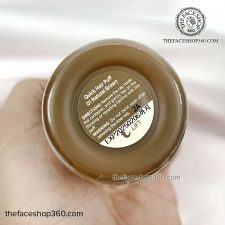 Mặt đáy Phấn che khuyết điểm tóc Quick Hair Puff The Face Shop