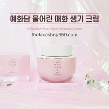 Kem dưỡng sáng hồng da ngừa lão hóa Yehwadam Plum Flower Revitalizing Cream (50ml)