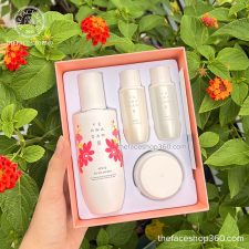 Bộ dưỡng trắng sáng da Yehwadam Jeju Magnolia Pure Brightening Serum Special Gift Set (4SP)