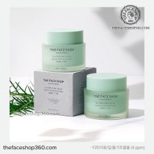 Hộp Kem dưỡng Tràm Trà ngừa mụn se lỗ chân lông Tea Tree Pore Cream The Face Shop (50ml)