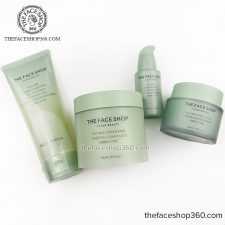 Bộ dưỡng Tràm Trà ngừa mụn se khít lỗ chân lông Tea Tree The Face Shop