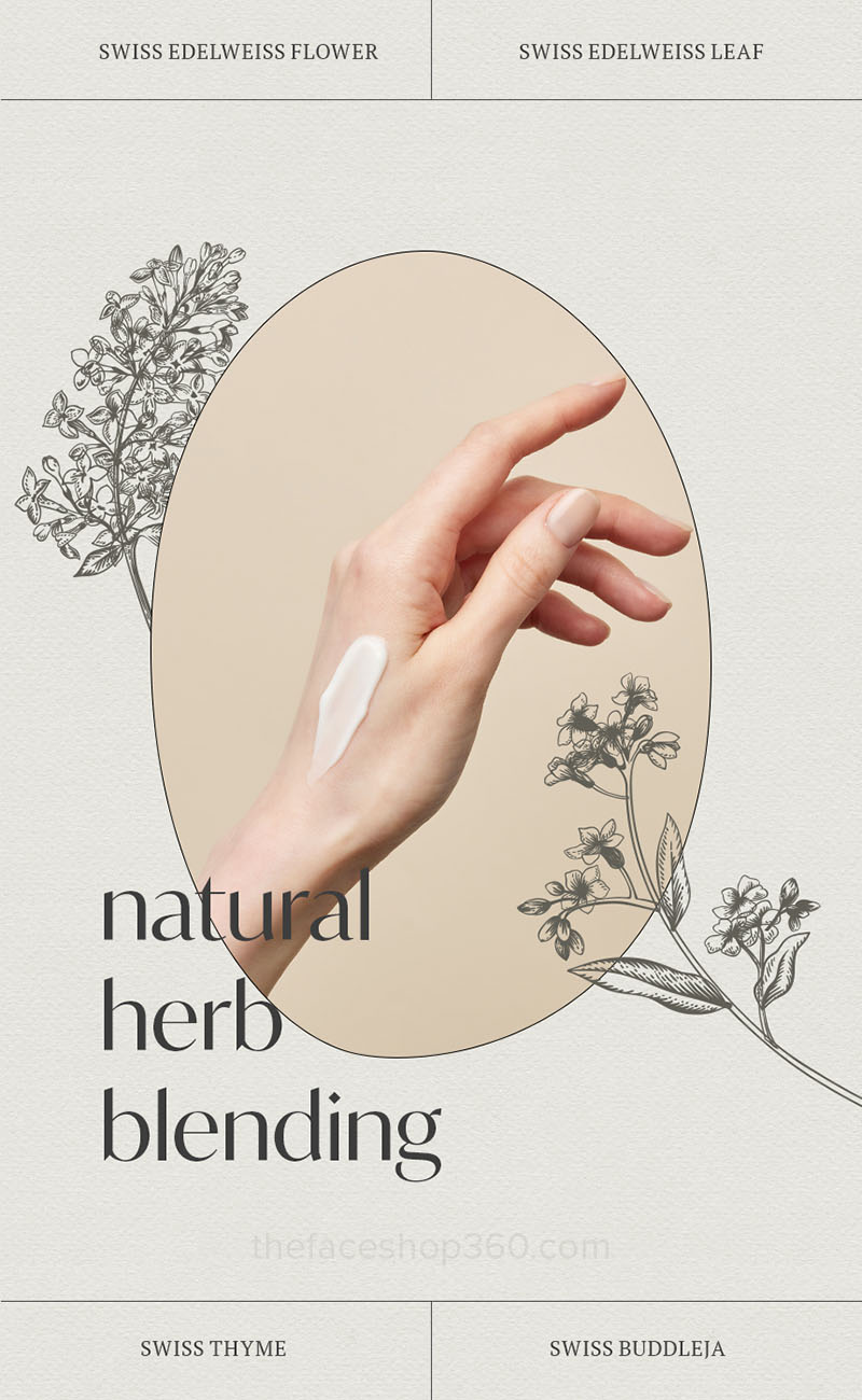 Chất kem Lõi thay thế Kem dưỡng chống lão hóa thuần chay The Therapy Vegan Blending Cream Refill 60ml