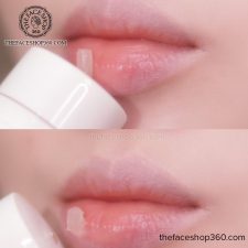 Review Dưỡng Môi thuần chay The Therapy Vegan Multi Lipcerin The Face Shop 15ml