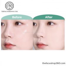 Review Phấn phủ nén kiềm dầu Oil Clear Skin Cover Compact The Face Shop