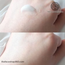 Review Set kem dưỡng ẩm chống lão hóa thuần chay dịu da The Therapy Vegan Blending Cream Special Set The Face Shop